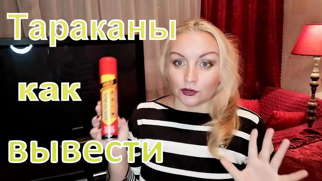 Эффективные и безопасные методы борьбы с тараканами в доме